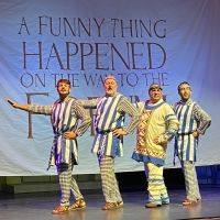 BWW Review: A FUNNY THING HAPPENED ON THE WAY TO THE FORUM at Desert Theatricals At…