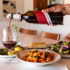 AVIVO Red Wine 2021-A Wonderful Wine Crafted with Eco-Conscious Practices