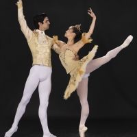 Casting Announced for Cleveland Ballet's THE NUTCRACKER