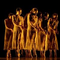 Martha Graham Dance Company Announces February Digital Events