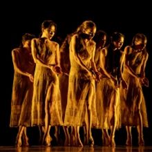 Martha Graham Dance Company Announces February Digital Events
