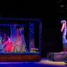 Review: FINDING NEMO at Tuacahn is an Ocean of Elation