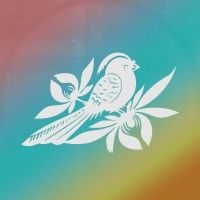 Bayside Supports The Trevor Project With Kacey Musgraves Cover