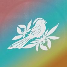 Bayside Supports The Trevor Project With Kacey Musgraves Cover