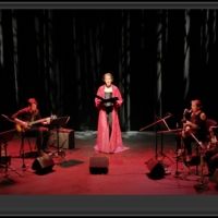 Heresy Records to Release 'CITADEL OF SONG' By Medieval/Jazz Fusion Ensemble Anakrono Interview
