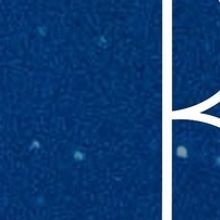 Broadway OUTSIDE The Barn Returns With Nicholas Rodriguez