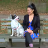 Video: Kristen Faith Oei Cuddles up with Her Broadway Pet, Easter