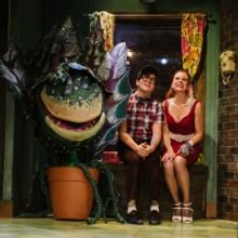 BWW Review: LITTLE SHOP OF HORRORS at Constellation Theatre Company