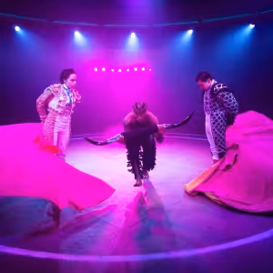 Interview: Tatiana Pandiani of TORERA at Alley Theatre