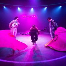 Interview: Tatiana Pandiani of TORERA at Alley Theatre