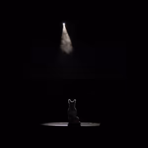 Student Blog: Animals Go To Broadway
