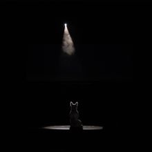 Student Blog: Animals Go To Broadway