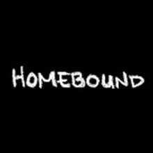 BWW Video: Episode Nine of Round House Theatre's Webseries Homebound