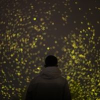 SPARK To Open Greenwich + Docklands International Festival 2022