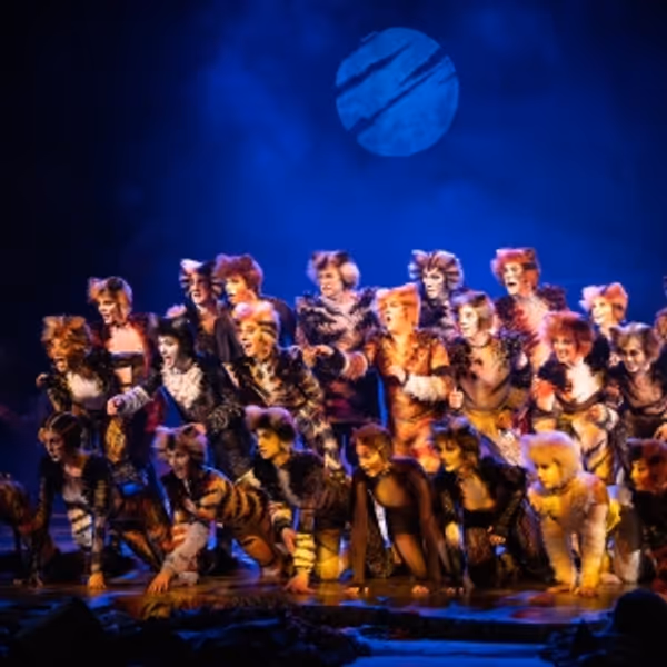 CATS  The Musical Comes to South Africa Photo