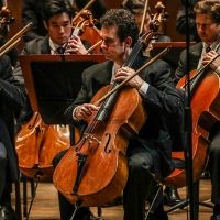 Houston Symphony Announces Four-Concert Chamber Music Series