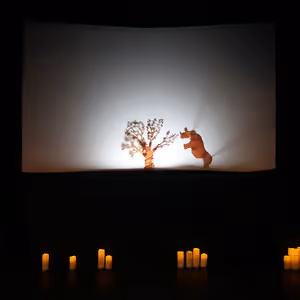 Turkish Shadow Theatre THE FOREST OF THE WITCH Will Come to The Puppet Co.