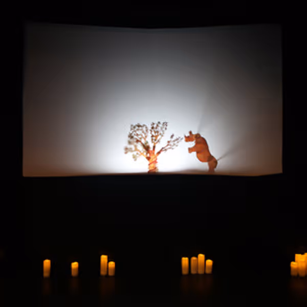 Turkish Shadow Theatre THE FOREST OF THE WITCH Will Come to The Puppet Co. Photo