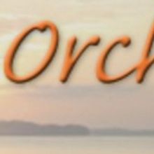 The Orchestra of the Eastern Shore Presents a Fall Concert