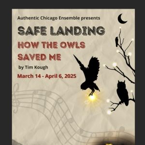 Authentic Chicago Ensemble to Present Inaugural Production, SAFE LANDING: How The…