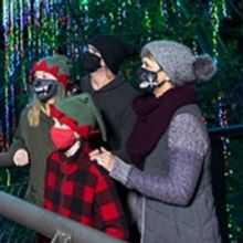 Atlanta Botanical Garden Announces 11th Annual GARDEN LIGHTS, HOLIDAY NIGHTS