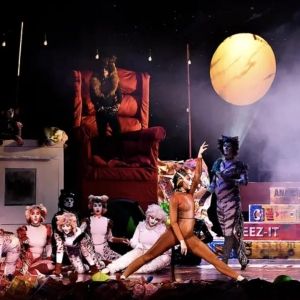 Review: CATS at The Belmont Theatre