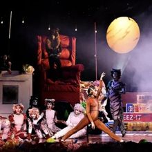 Review: CATS at The Belmont Theatre