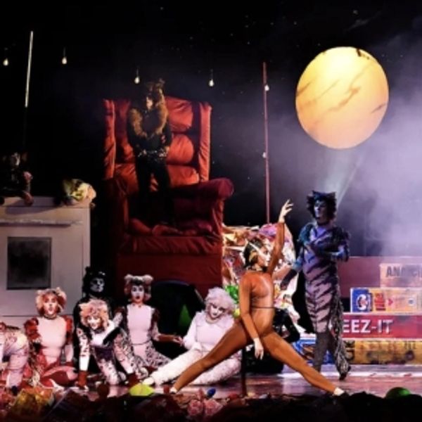 Review: CATS at The Belmont Theatre Photo