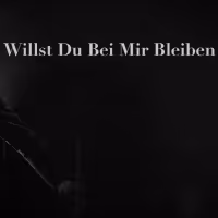 VIDEO: Liza Pulman and German Singer Max Raabe Duet on 'Willst Du Bei Mir Bleiben' Video
