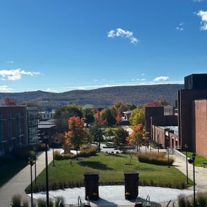 Student Blog: Something's Gotta Give