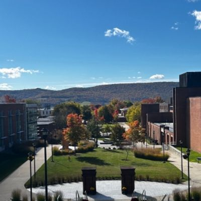 Student Blog: Something's Gotta Give
