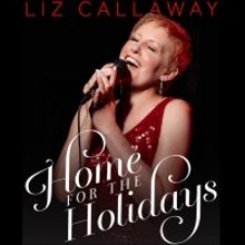 BWW Review: LIZ CALLAWAY PERFORMS VIRTUAL HOLIDAY CONCERT IN YOUR HOME from The Straz