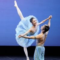 8th SA International Ballet Competition Will Be Performed at the Artscape Opera…