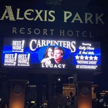 Feature: Carpenters Legacy celebrates 1-year residency at Modern Showrooms.