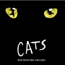 Review: CATS AND MISS SAIGON
