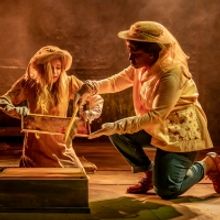 Review: THE SECRET LIFE OF BEES, Almeida Theatre