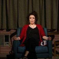 Vineyard Theatre's DANA H. Extends Until April 11
