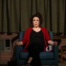 Vineyard Theatre's DANA H. Extends Until April 11