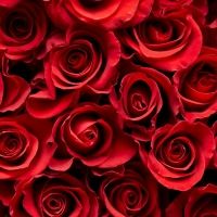 BWW Blog: Top 10 Musical Love Stories