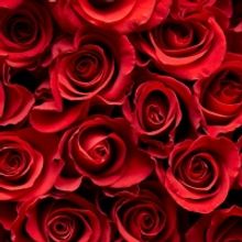 BWW Blog: Top 10 Musical Love Stories