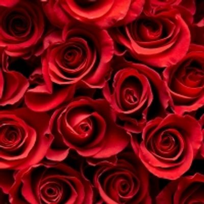 BWW Blog: Top 10 Musical Love Stories