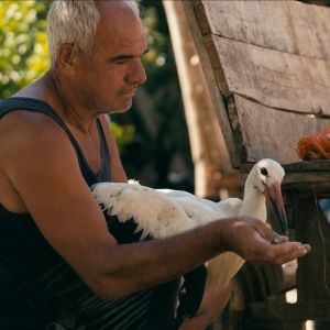 THE TALE OF SILYAN Film Acquired by National Geographic
