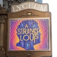 Meet the Cast of A STRANGE LOOP on Broadway
