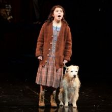 BWW Review: ANNIE at Children's Theatre Company
