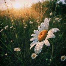 Student Blog: &ldquo;Perfect Summer&rdquo; Didn't Go As Planned And That's Okay
