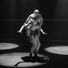BWW Review: GALLIM Dance Company's BLUSH is Anything But Shy