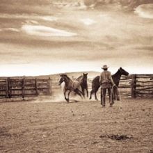 The Wittliff Collections Announces Limited Tables-for-Two For Inaugural Festival