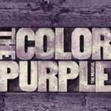 BWW Review: PLAZA THEATRICALS production of The Long Island Premiere Of THE COLOR PUR