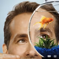 Global Blockbuster FREE GUY Now Streaming on Disney+