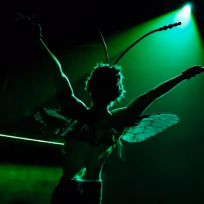 Review: INVASIVE SPECIES, King's Head Theatre